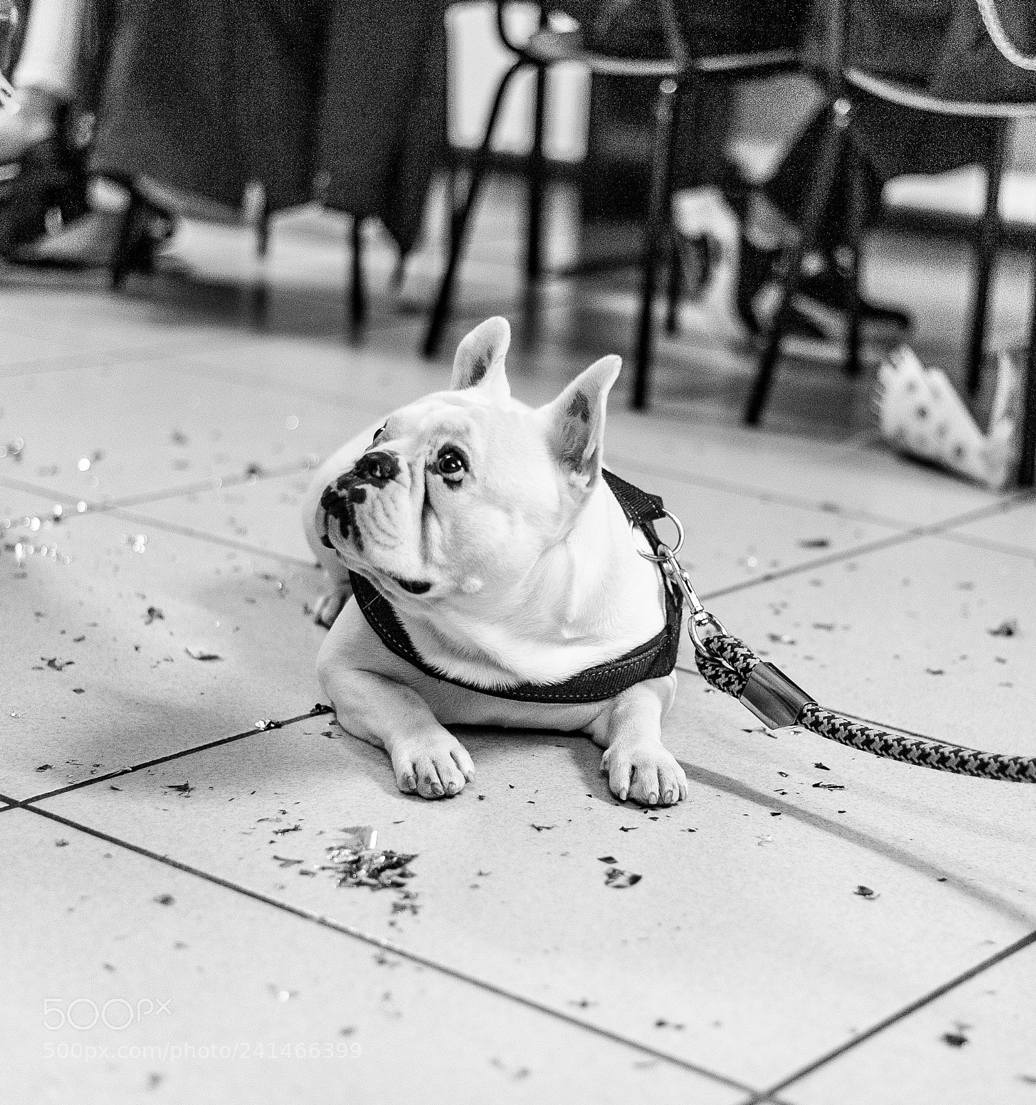 Nikon D700 sample photo. Zeus photography