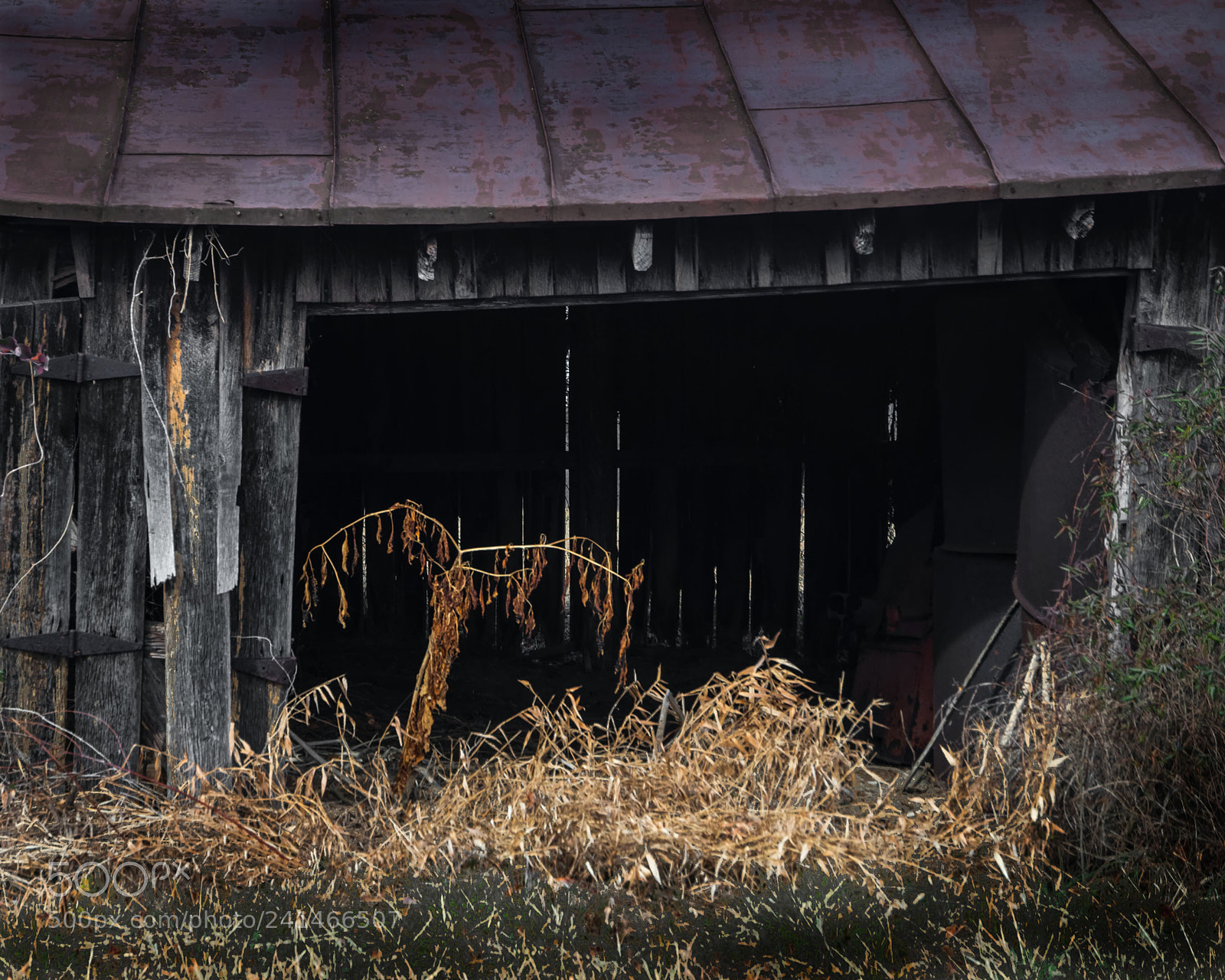 Nikon D500 sample photo. Underused barn door photography