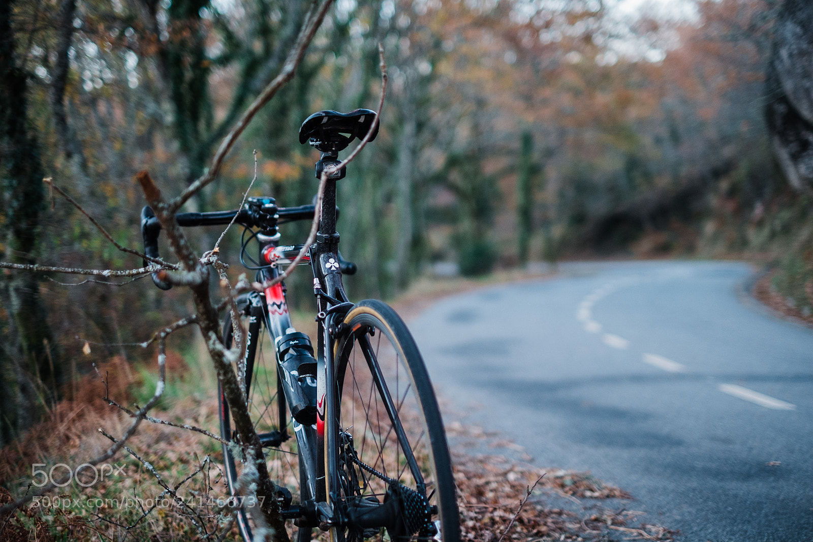 Fujifilm X-Pro1 sample photo. Colnago c50 photography