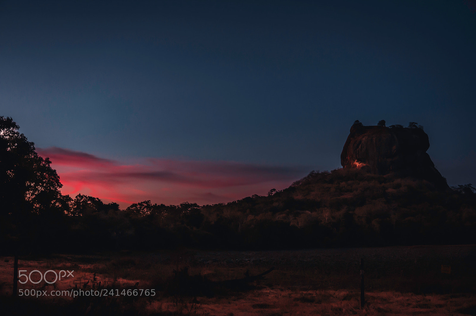 Sony Alpha NEX-5T sample photo. Sigiriya, lion mountain photography