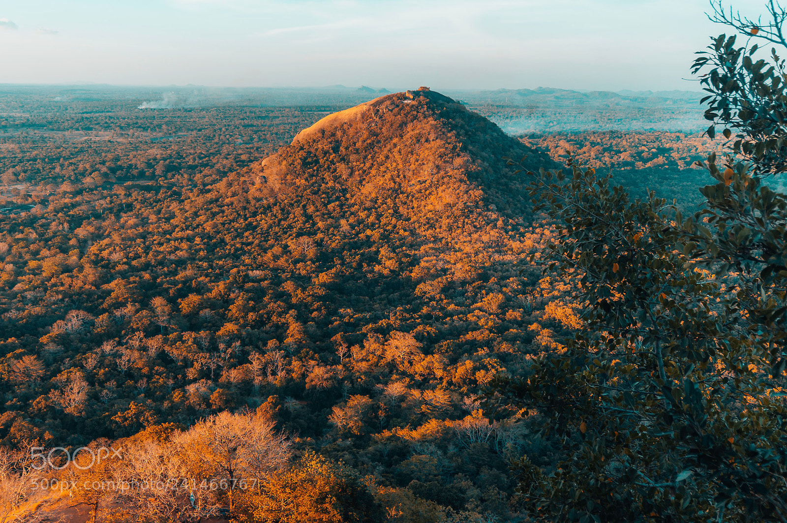 Sony Alpha NEX-5T sample photo. Sigiriya photography