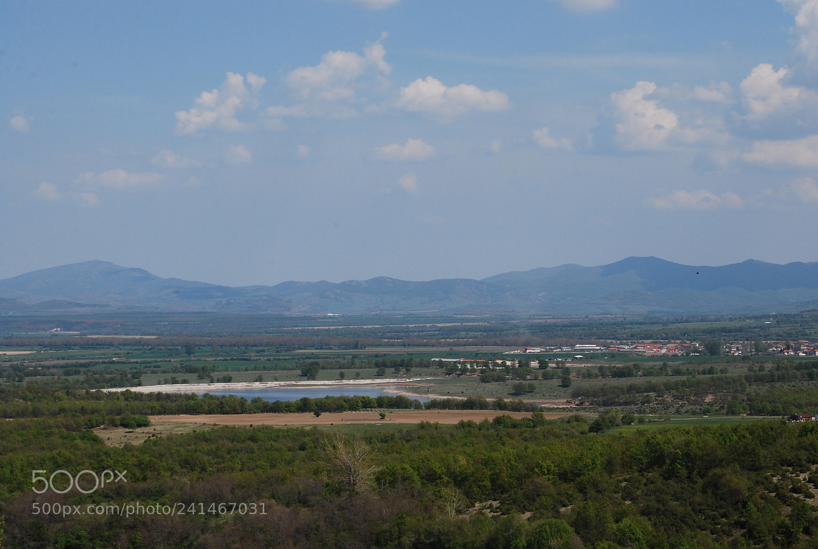 Nikon D60 sample photo. Wonderful summer photography