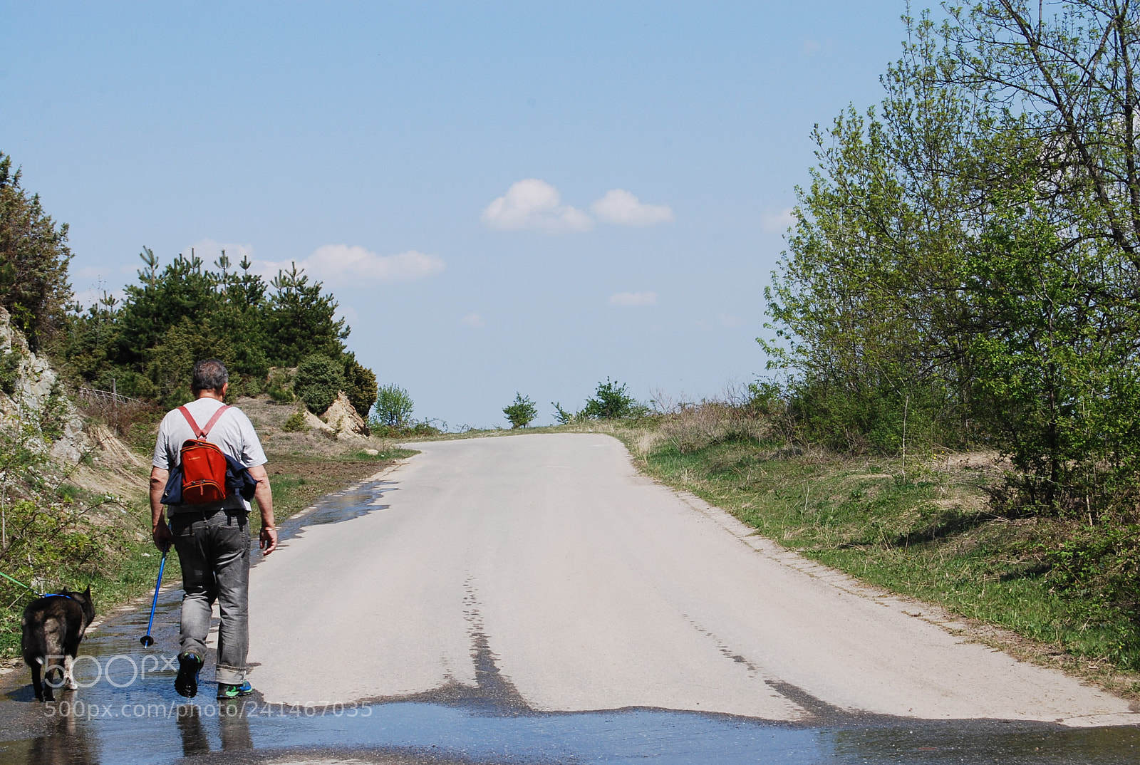 Nikon D60 sample photo. Wonderful summer photography