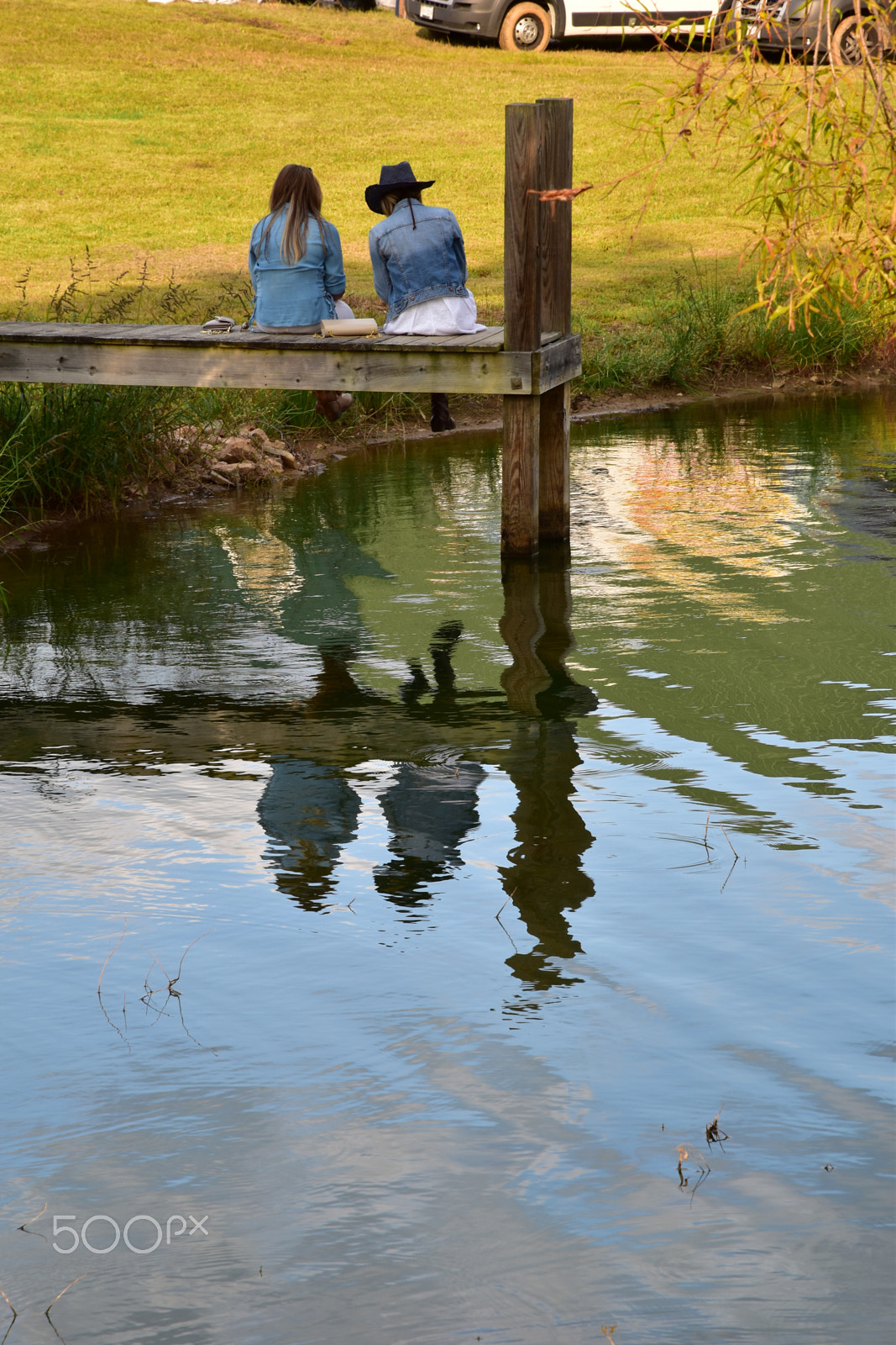 Nikon D5500 sample photo. On the golden pond photography