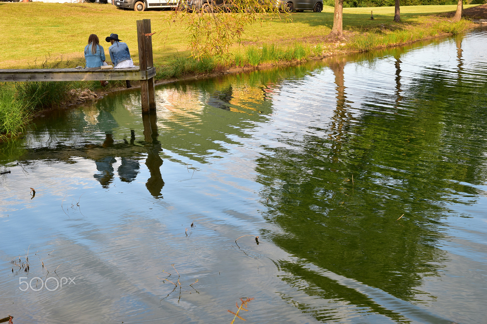 Nikon D5500 sample photo. On the golden pond 2 photography