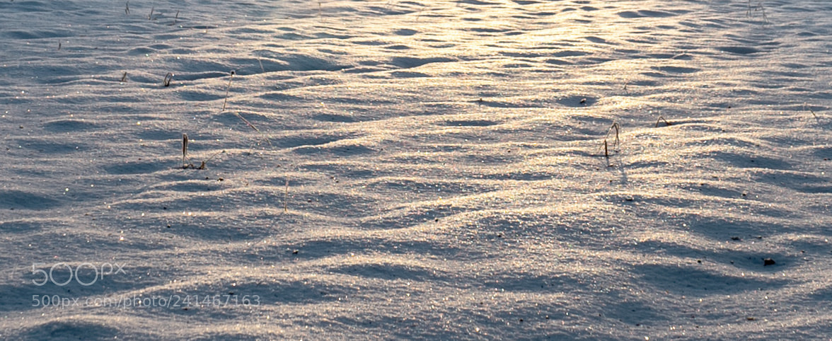 Sony a7S sample photo. Sailing photography