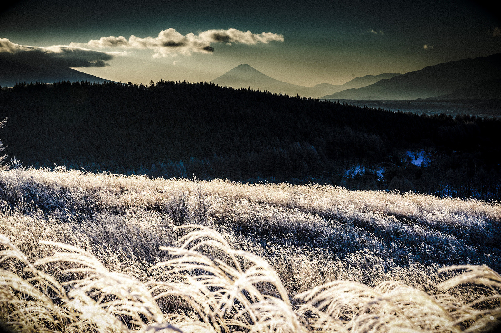 Sony a7 II sample photo. 富士山 photography