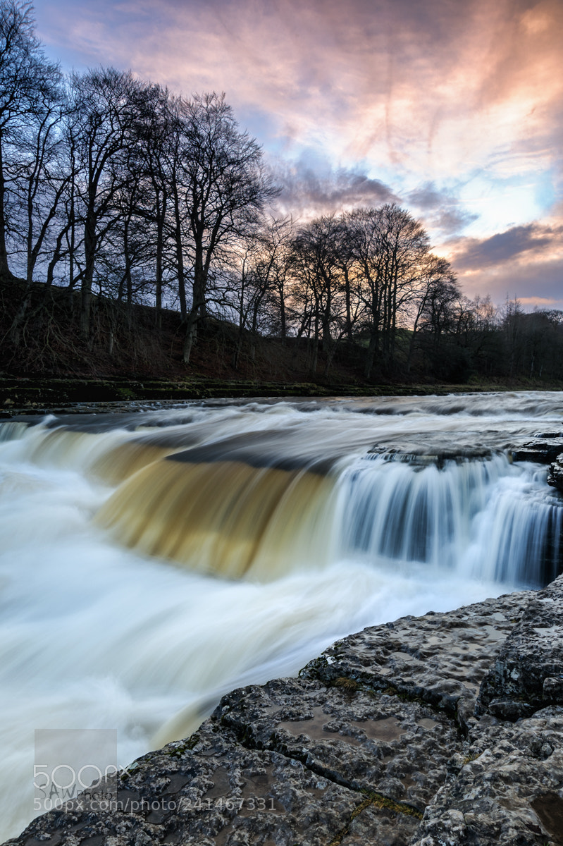 Nikon D3 sample photo. Aysgarth falls photography