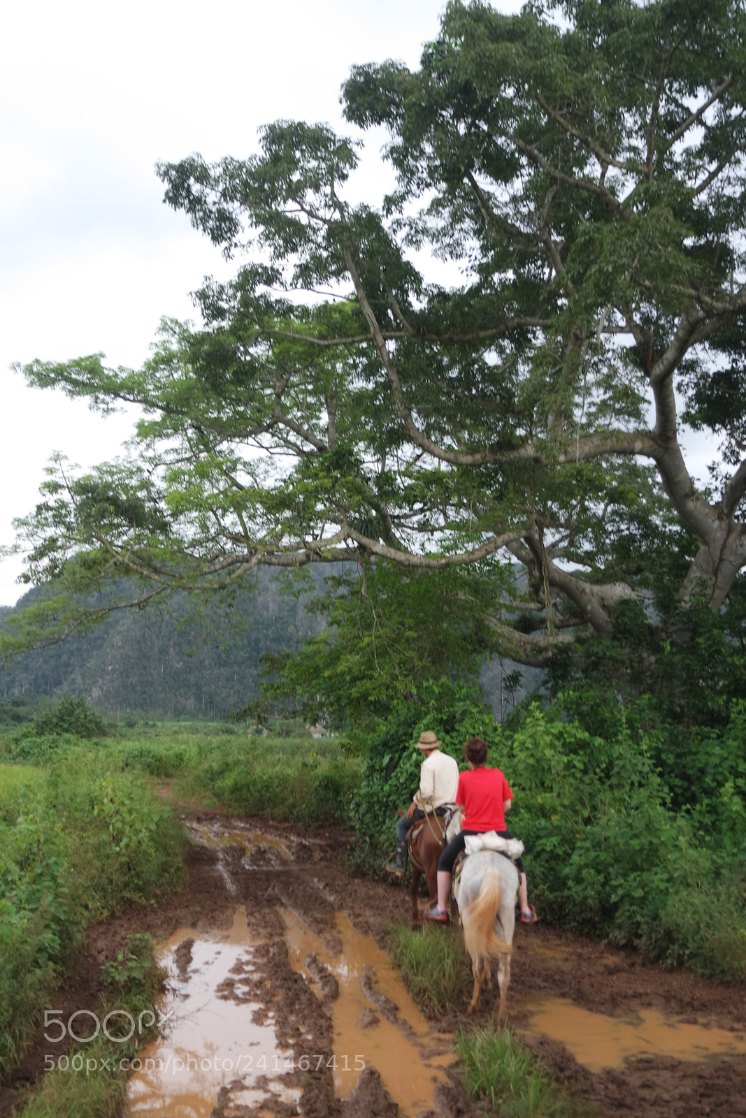Samsung NX3000 sample photo. Disfrutando del paseo photography