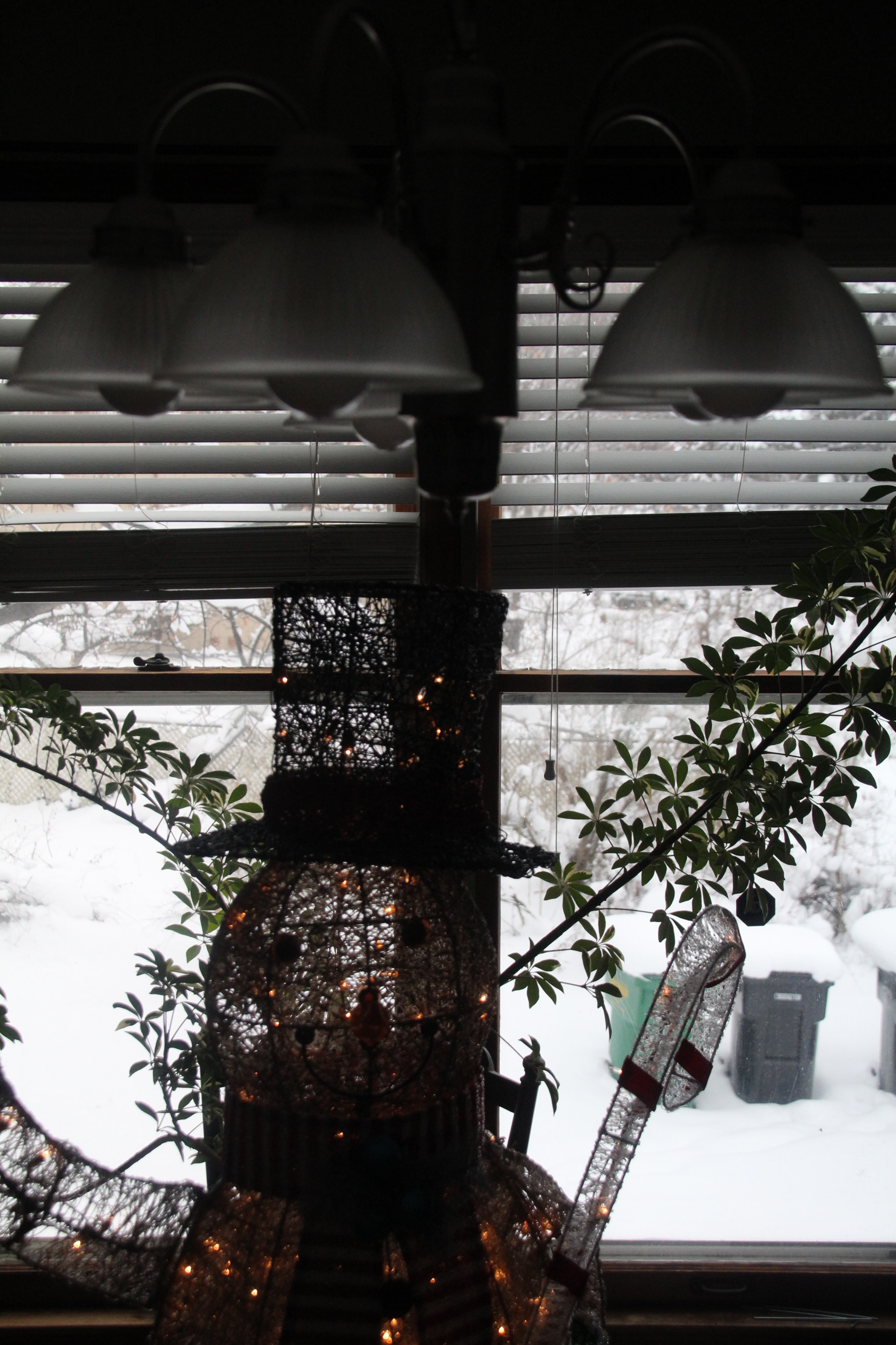 Canon EOS 1200D (EOS Rebel T5 / EOS Kiss X70 / EOS Hi) sample photo. Window decorations in winter. Оконные украшения. photography