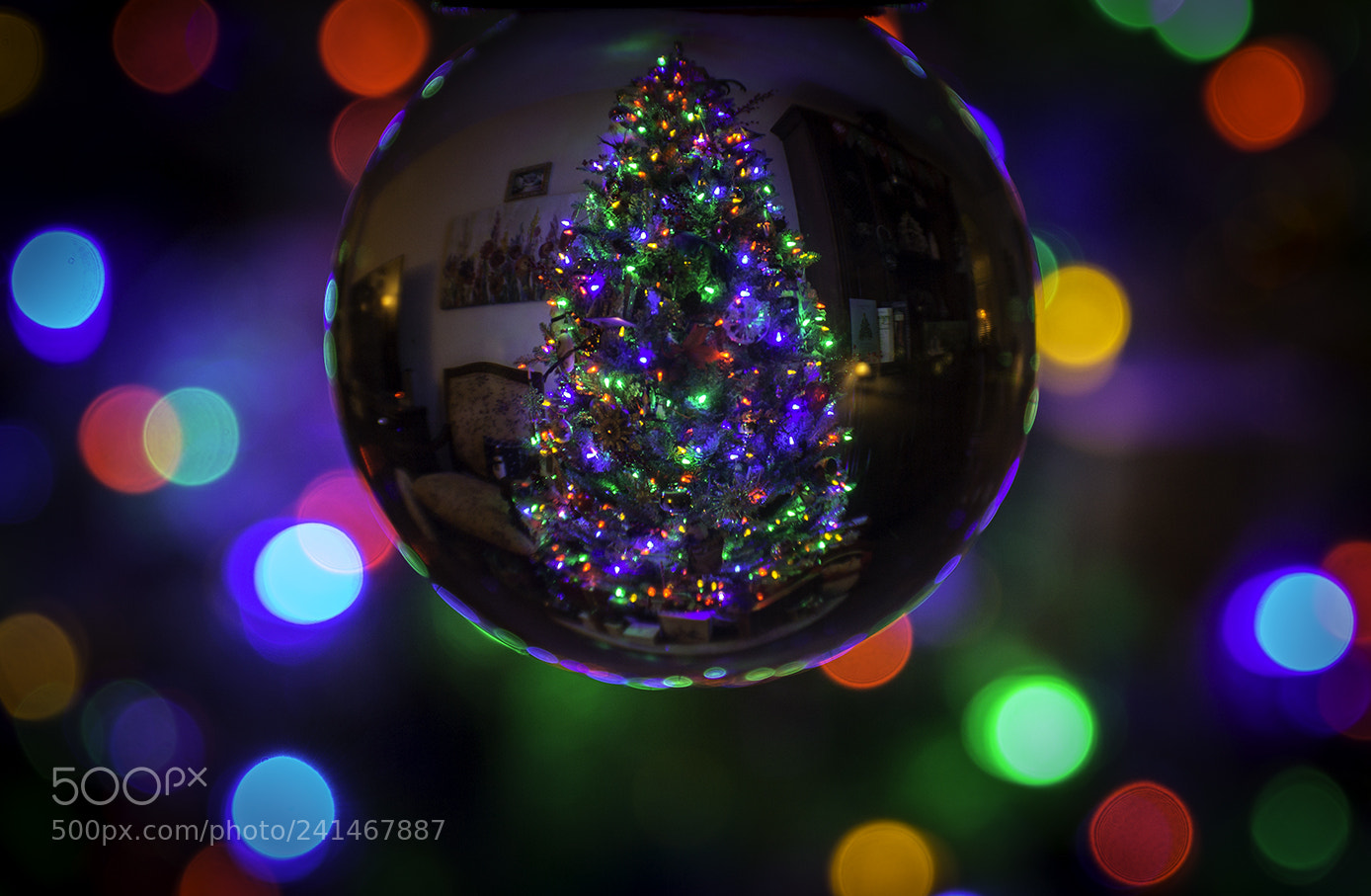 Canon EOS 60D sample photo. Last christmas photo photography