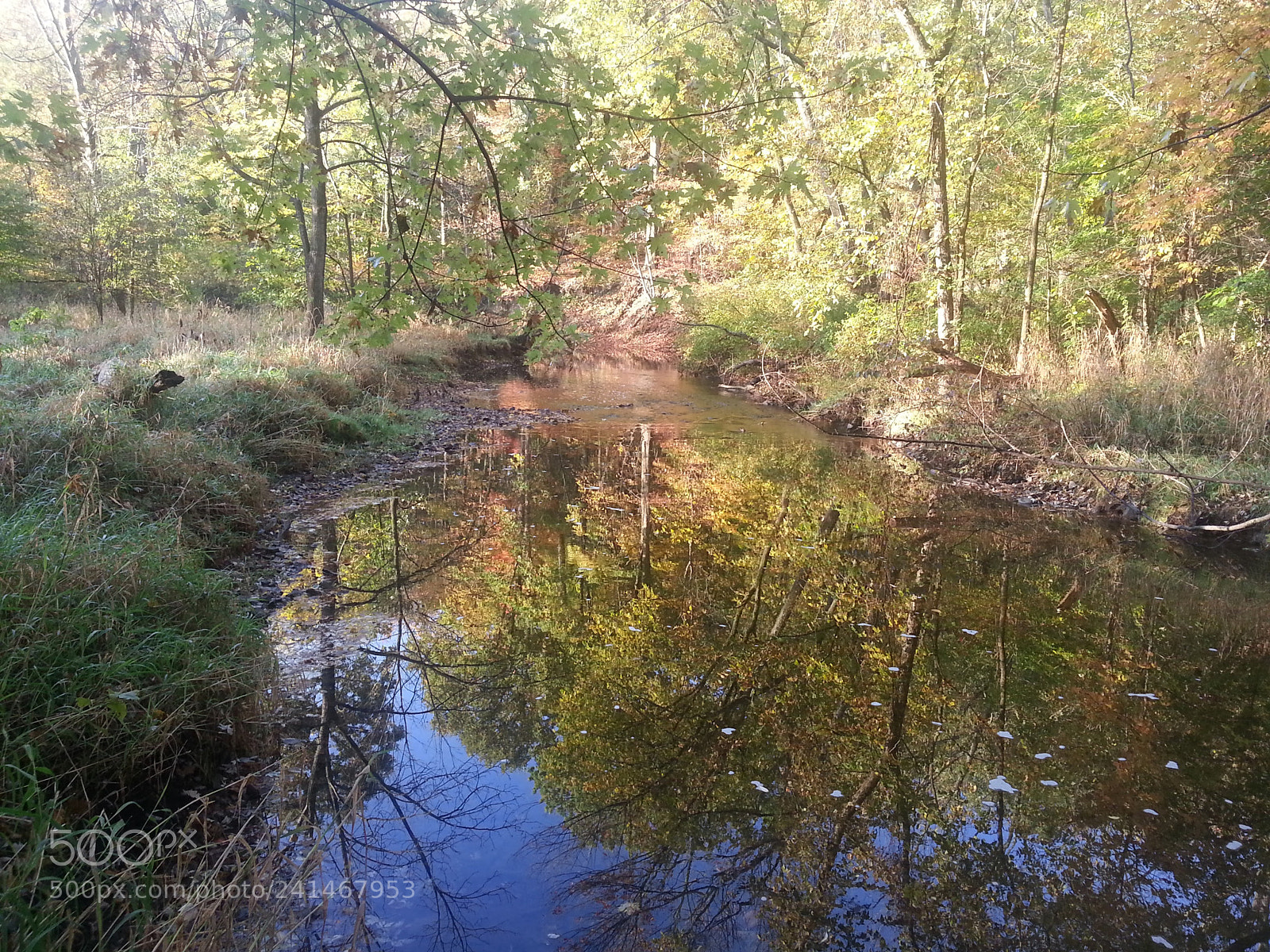 Samsung Galaxy Note2 sample photo. Morning on the trail photography