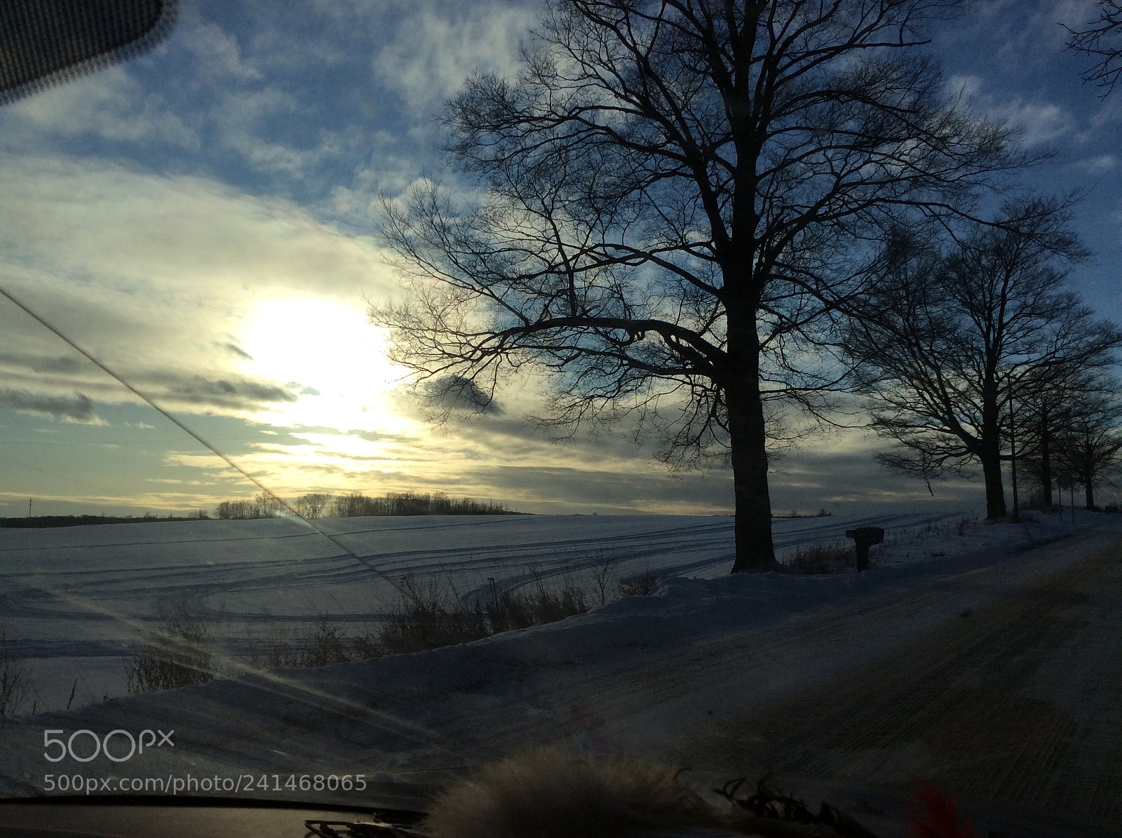 Apple iPad Air sample photo. Untitled photography