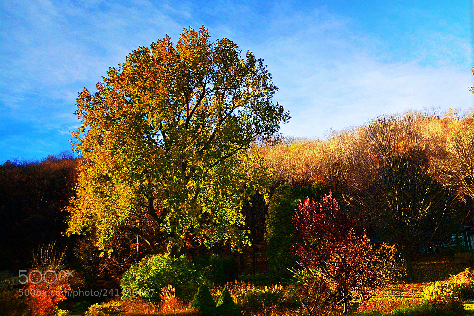 Nikon D7100 sample photo. Couleurs automnales  photography