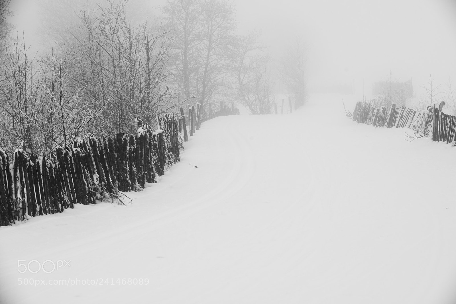 Nikon D800 sample photo. Auvergne - winter 2017 #11 photography