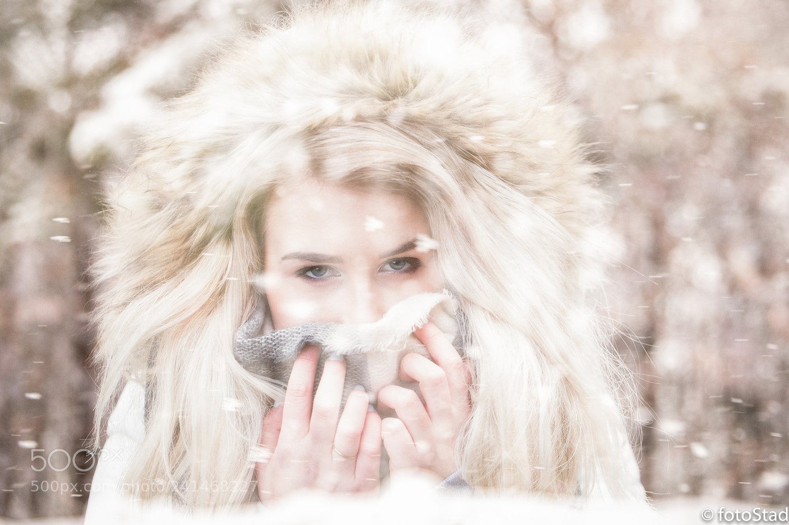 Canon EOS 6D Mark II sample photo. Winterwonderworld photography