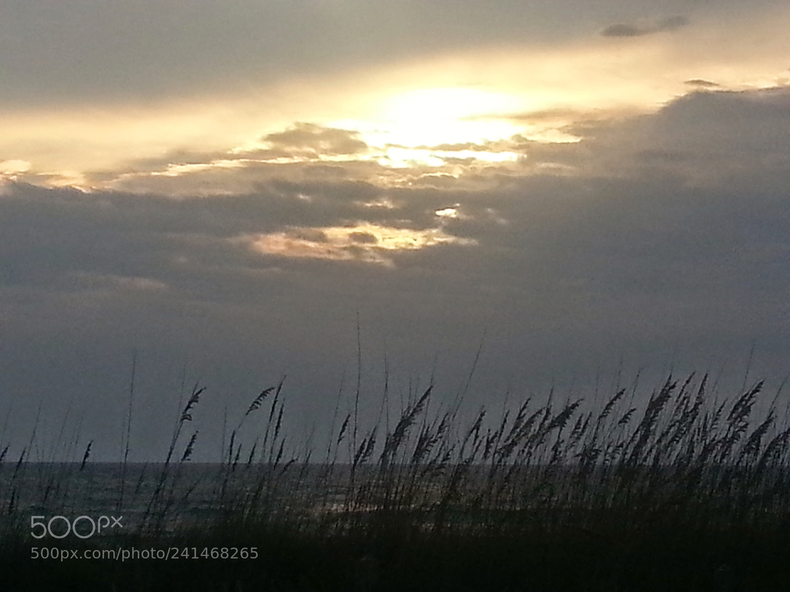 Samsung Galaxy Note2 sample photo. Untitled photography