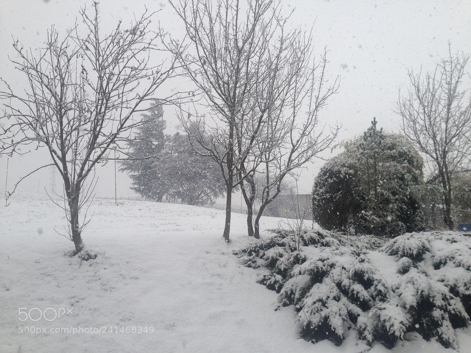 Apple iPhone 5 sample photo. Snow! photography