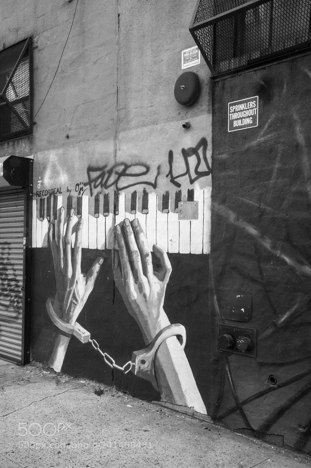 Nikon D500 sample photo. Street art brooklyn photography