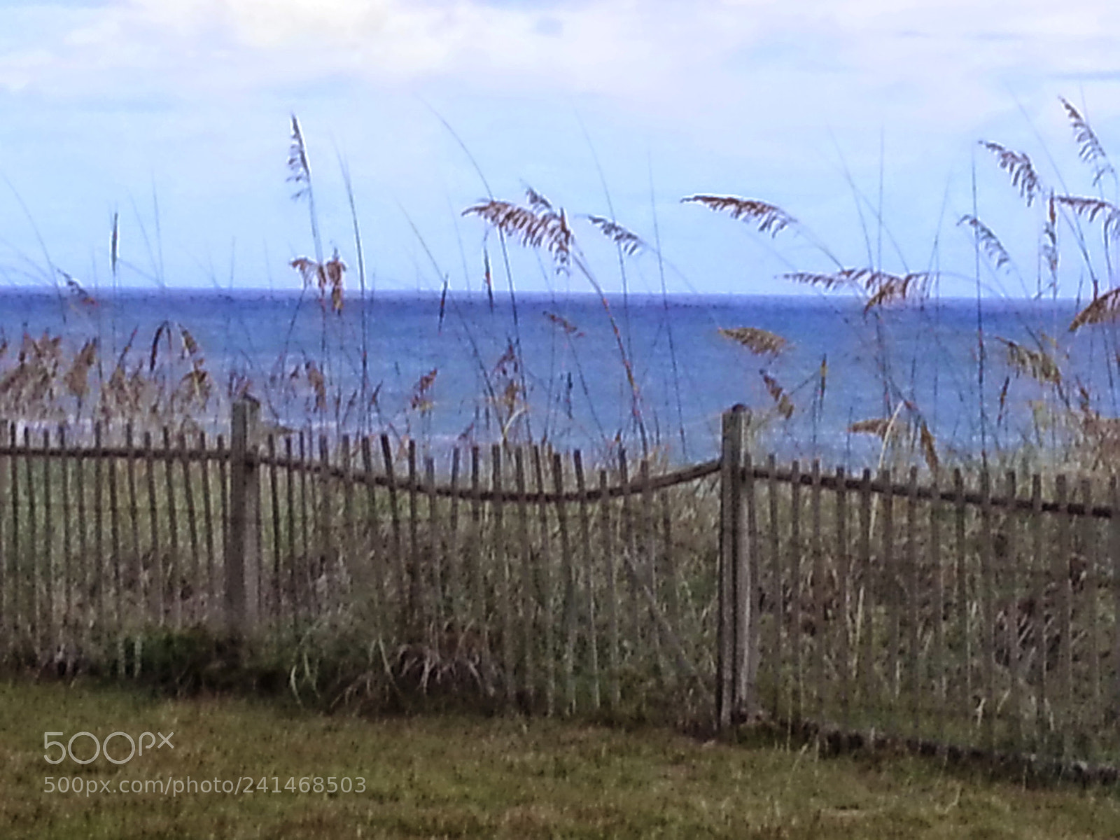 Samsung Galaxy Note2 sample photo. Untitled photography