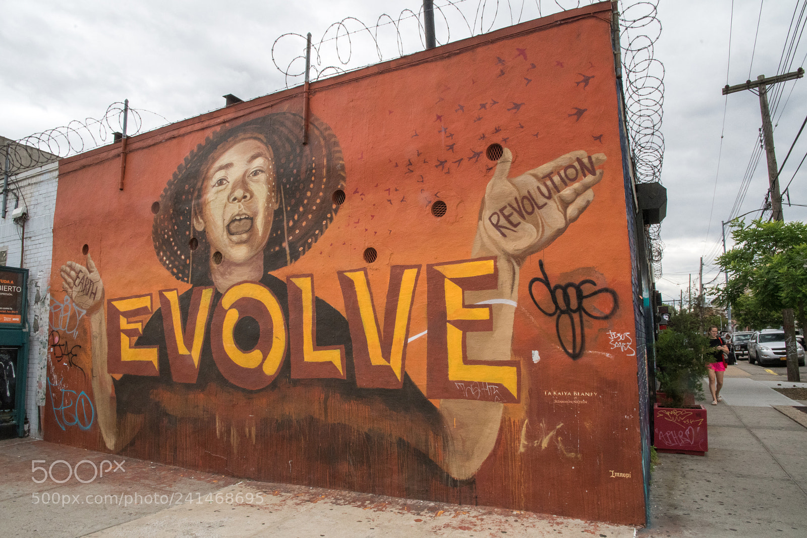 Nikon D500 sample photo. Brooklin street art photography