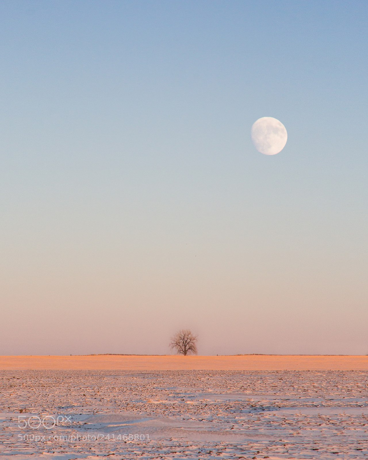 Canon EOS 60D sample photo. Tundra photography