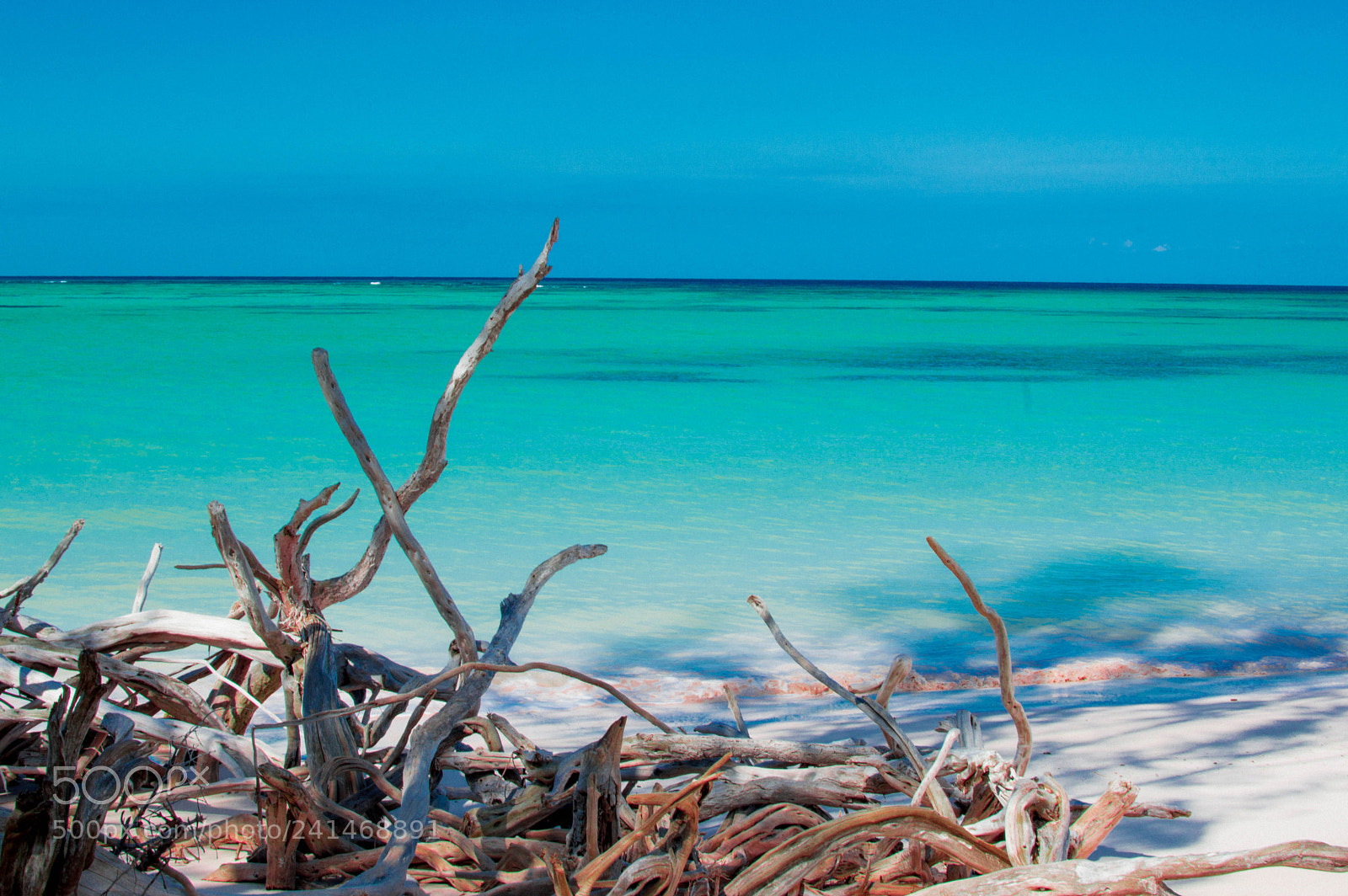 Nikon D3200 sample photo. Paradise i photography