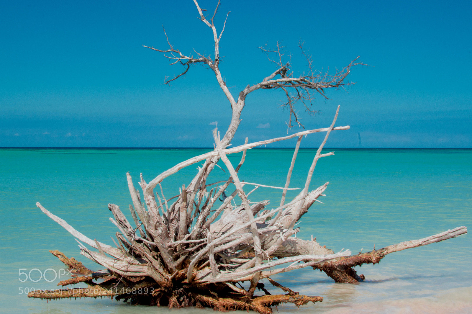 Nikon D3200 sample photo. Paradise ii photography