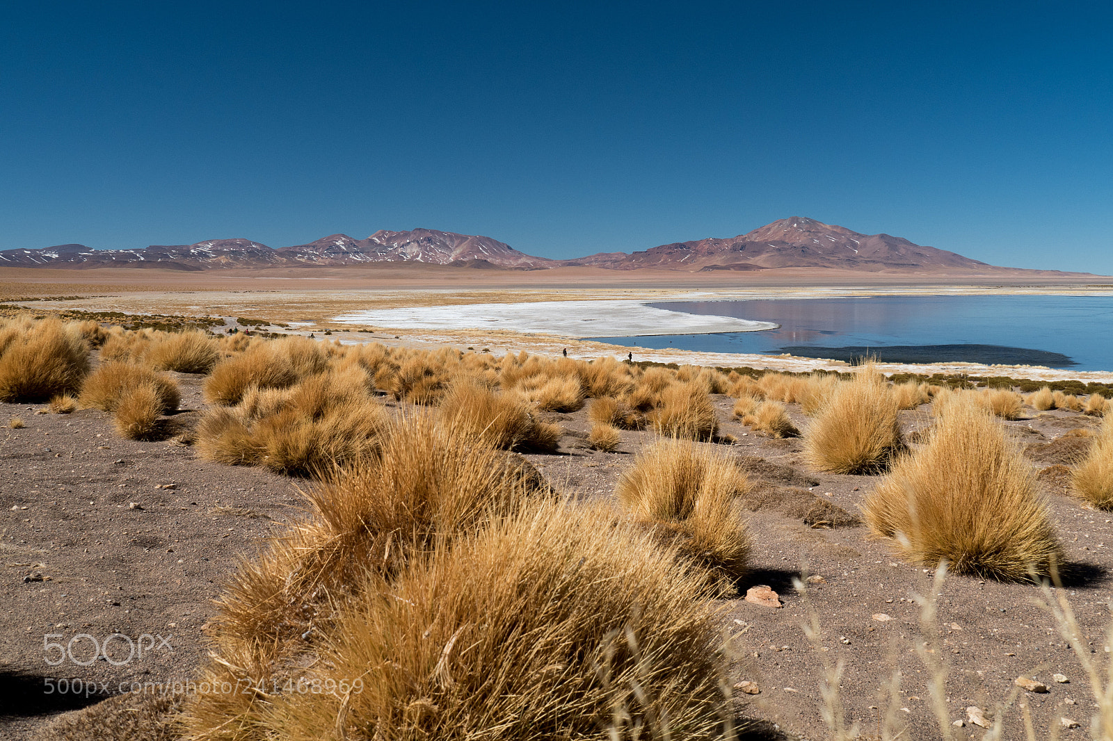 Olympus OM-D E-M5 II sample photo. Salar de tara photography