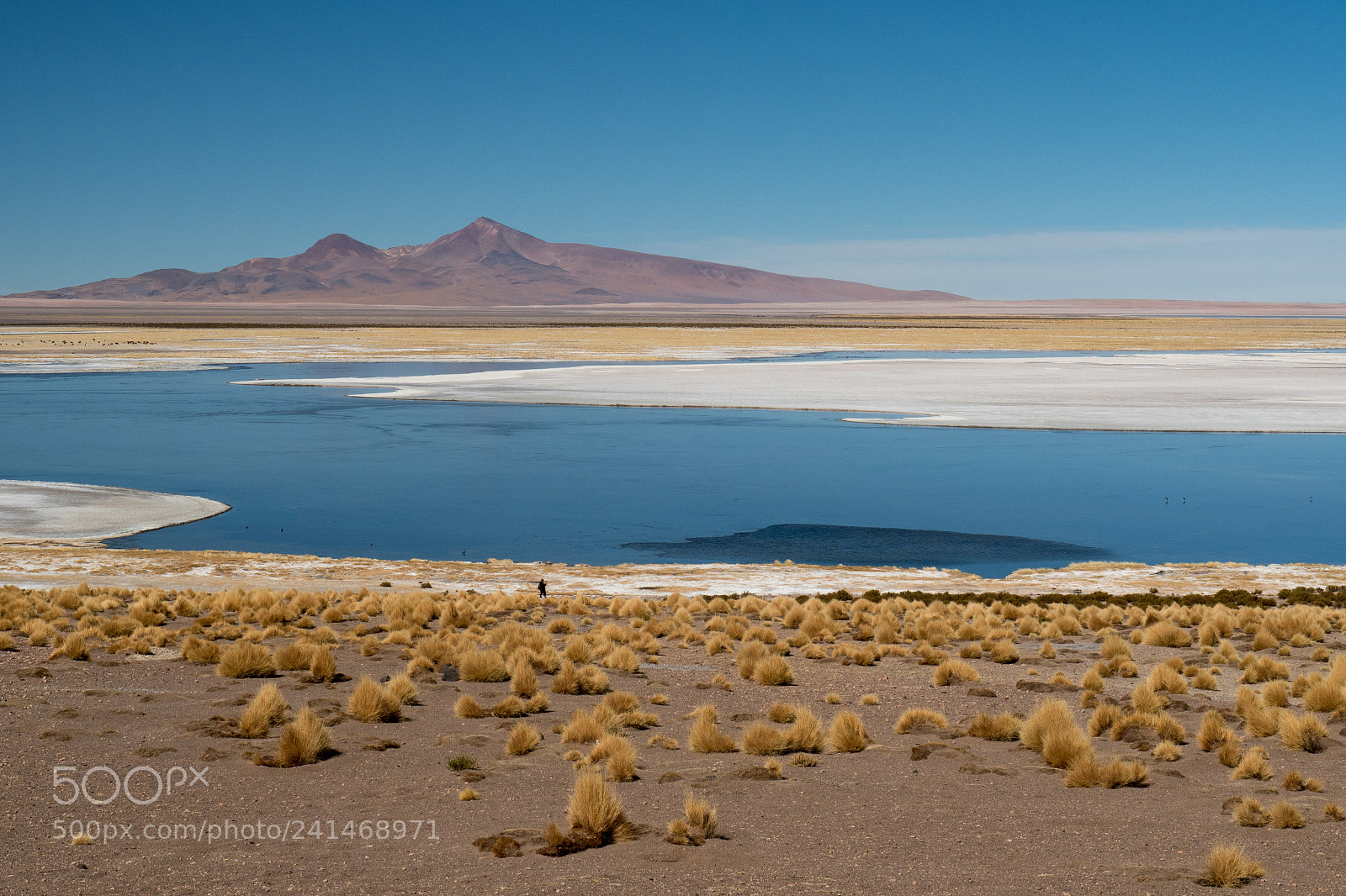 Olympus OM-D E-M5 II sample photo. Salar de tara photography