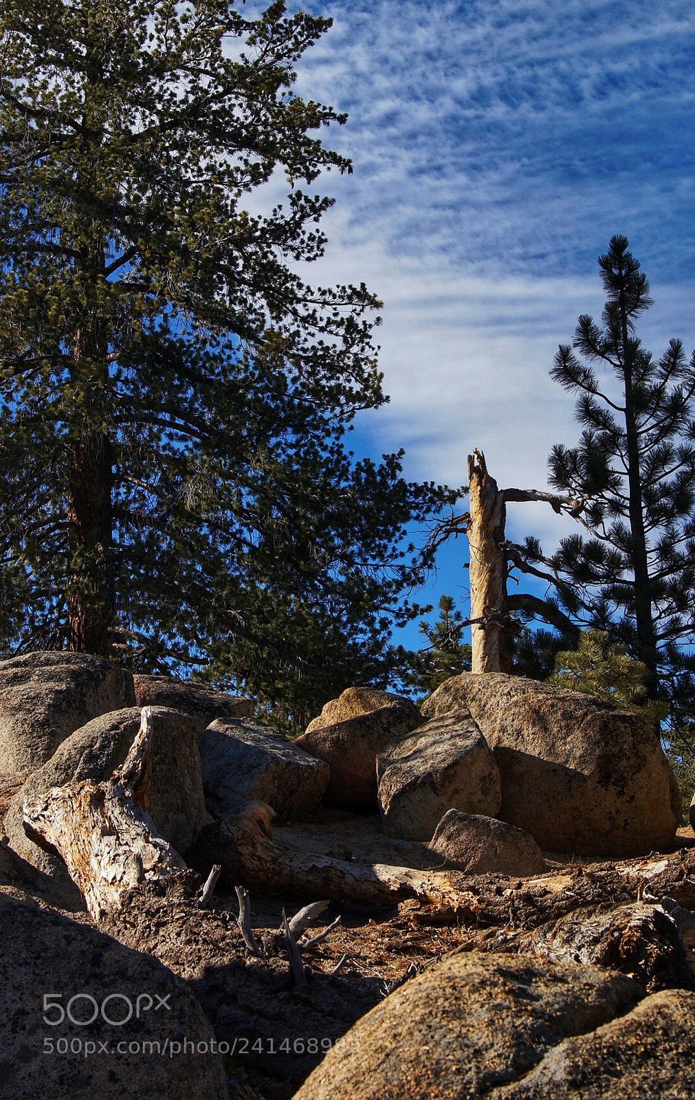 Sony SLT-A57 sample photo. Everyone should get lost photography