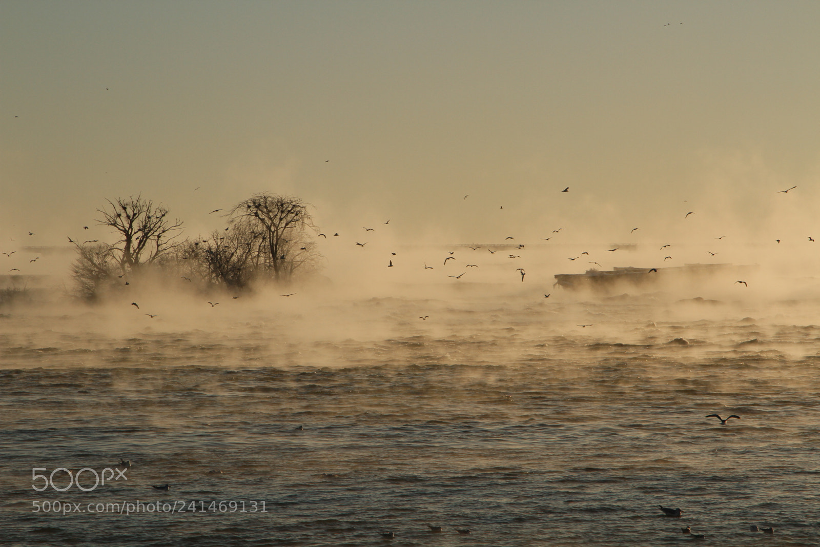 Canon EOS 7D + Canon EF 24-105mm F4L IS USM sample photo. The barge photography