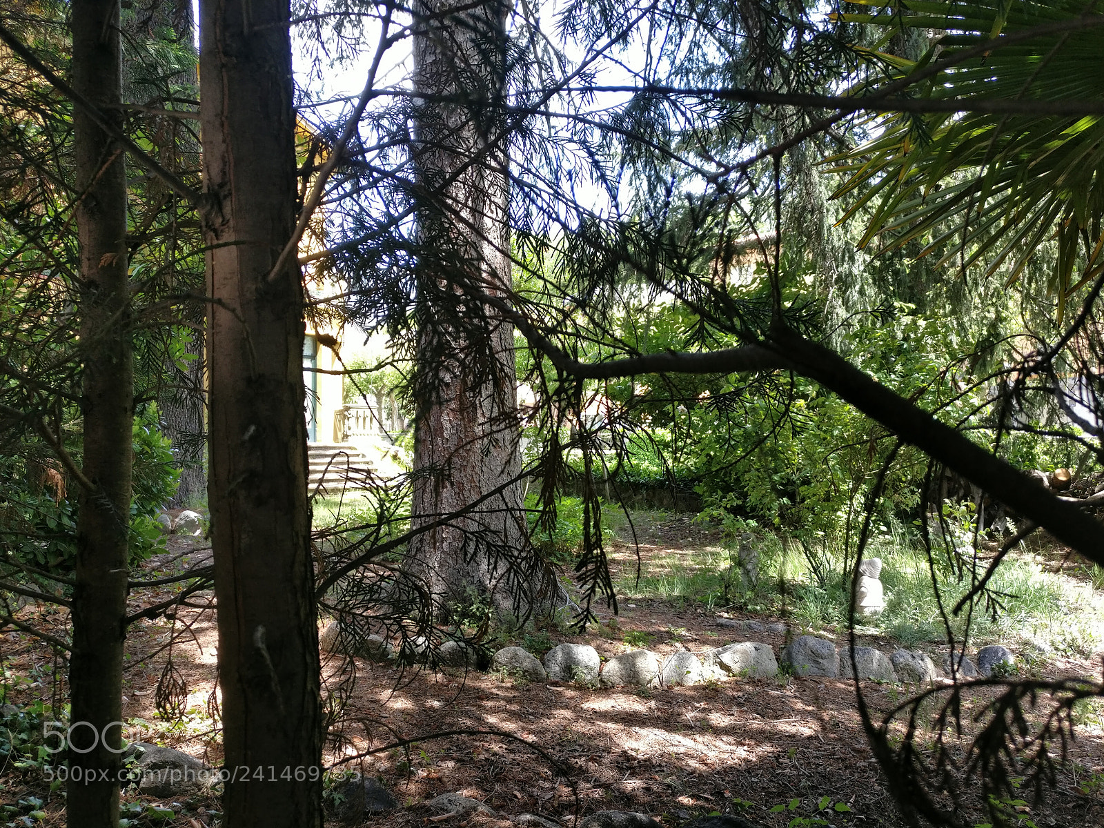 OnePlus A3003 sample photo. Img_20170517_141242.jpg photography