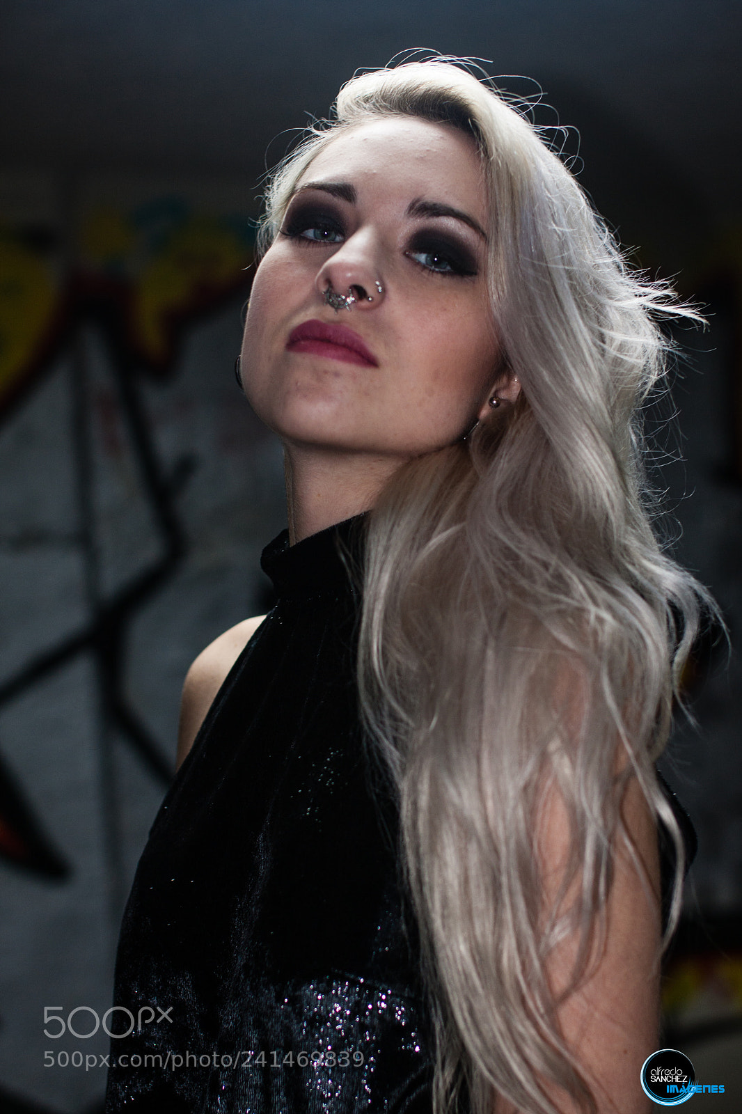 Canon EOS 40D sample photo. Haughty look photography