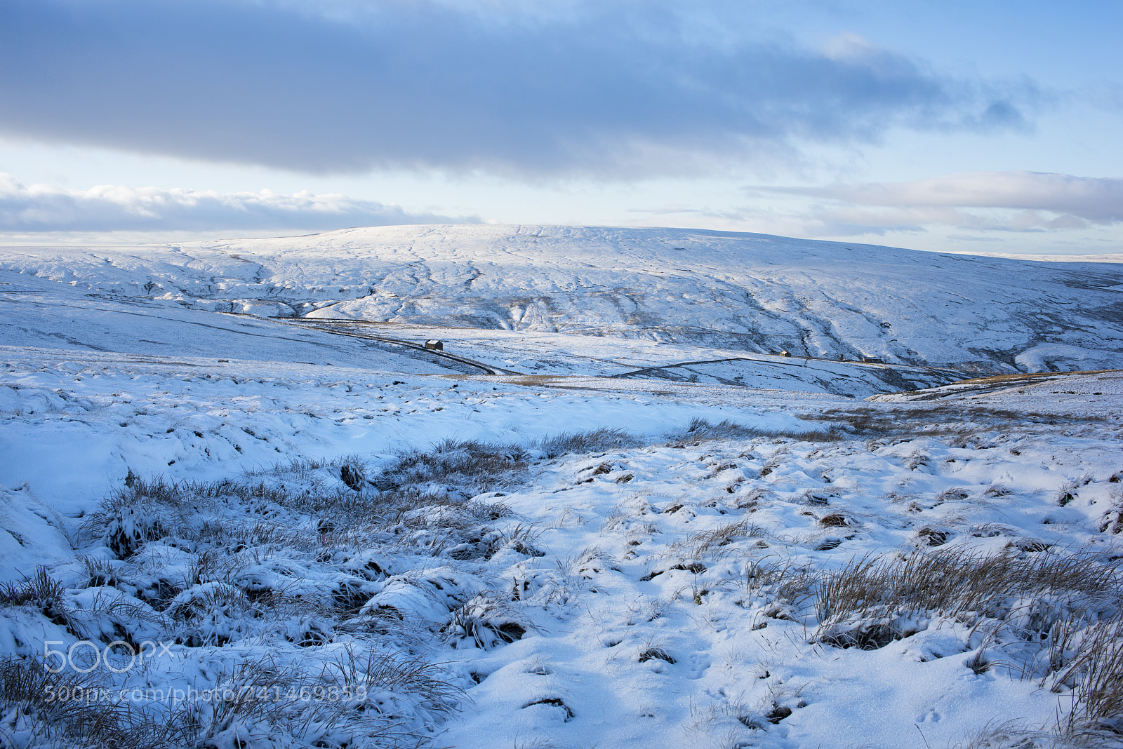 Nikon D810 sample photo. Coalcleugh photography