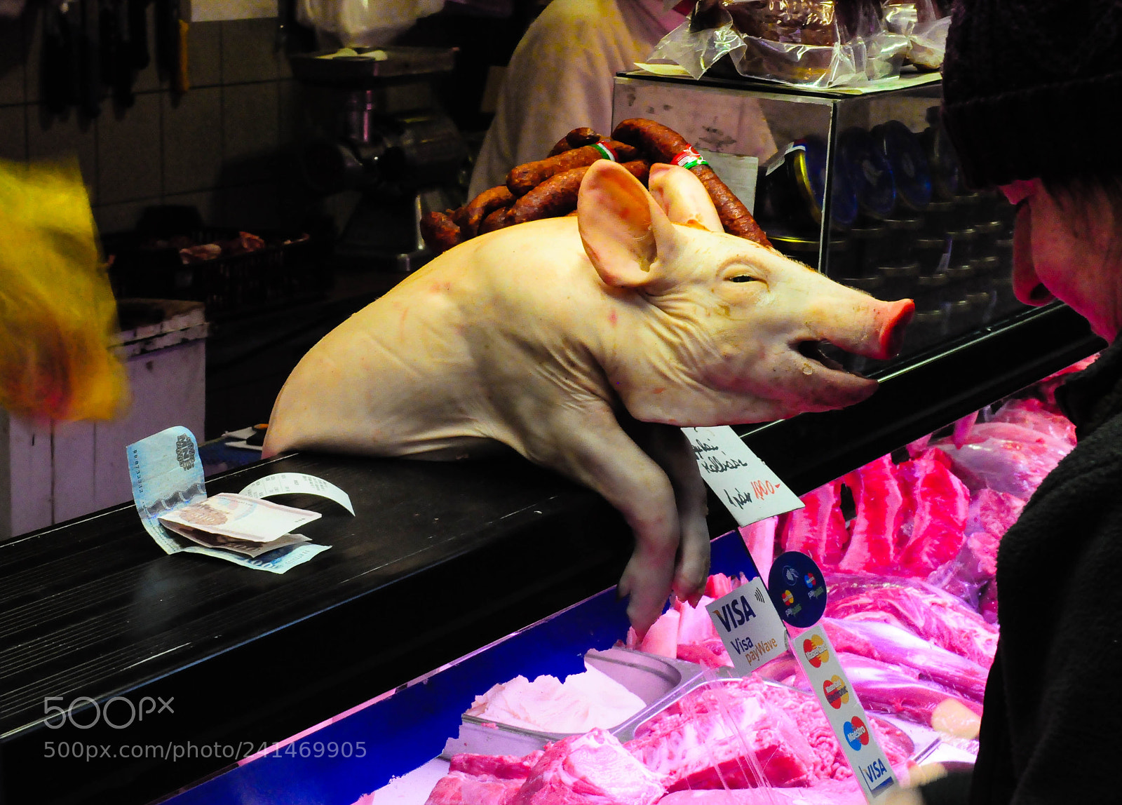 Nikon D5000 sample photo. Human before swine photography