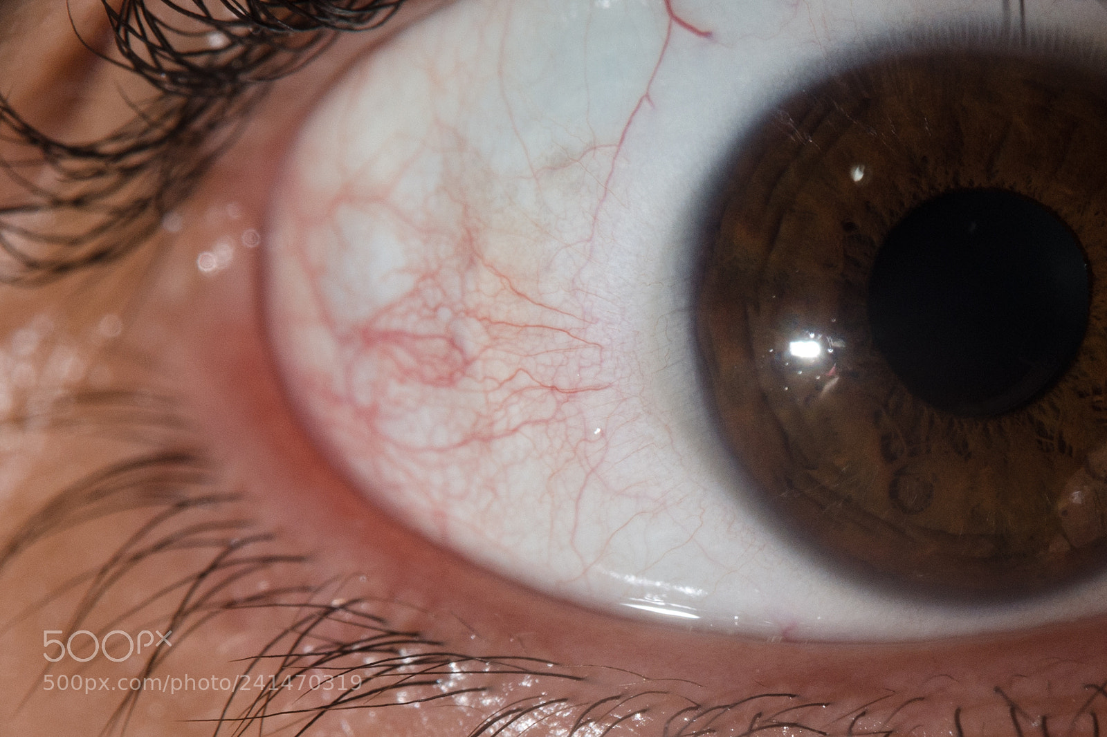 Nikon D7200 sample photo. Eye photography