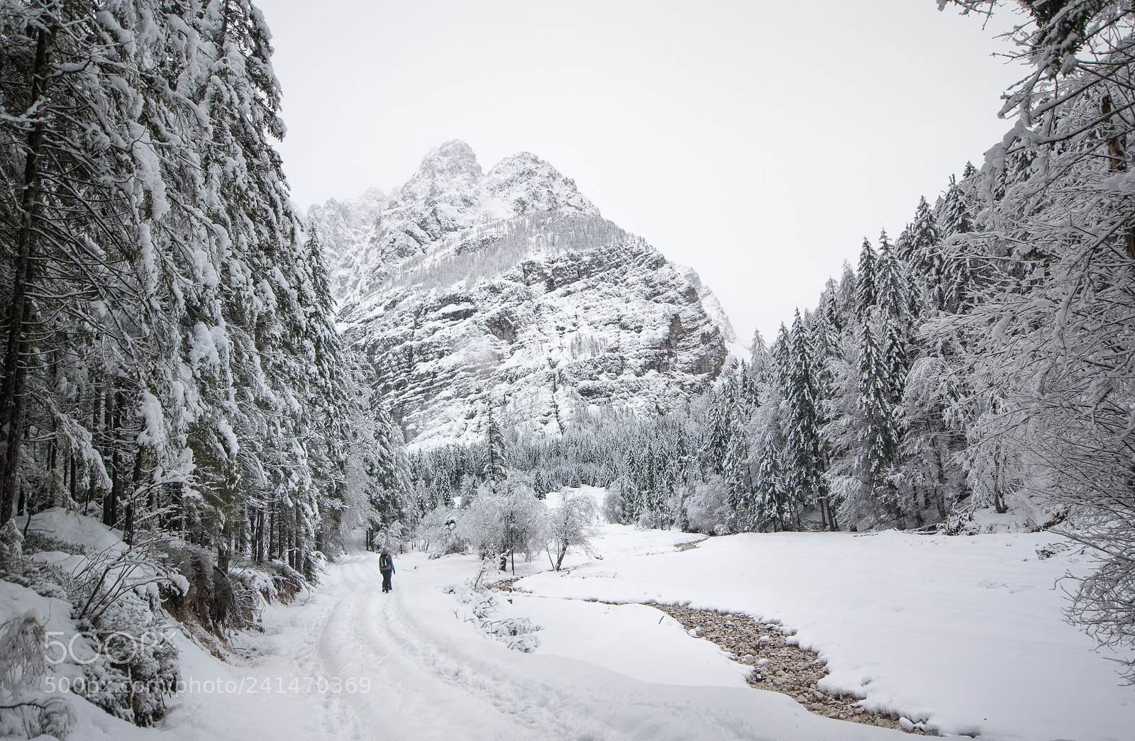Pentax K-3 sample photo. Krnica valley photography