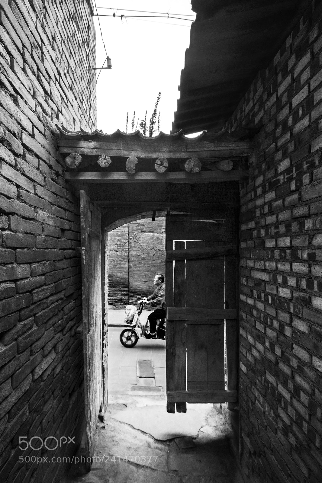 Nikon D7200 sample photo. Passing by photography