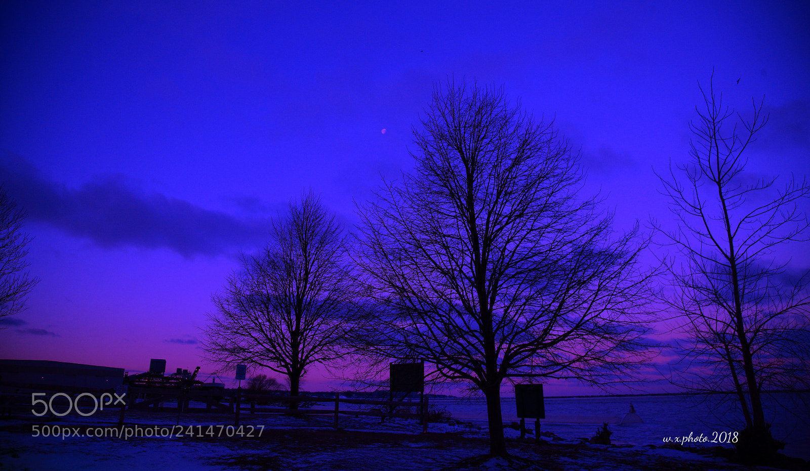 Canon EOS-1Ds Mark III sample photo. Morning photography