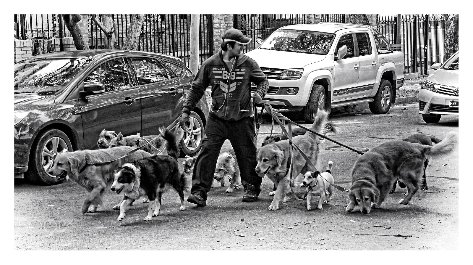 Pentax K-S2 sample photo. The dog walker photography