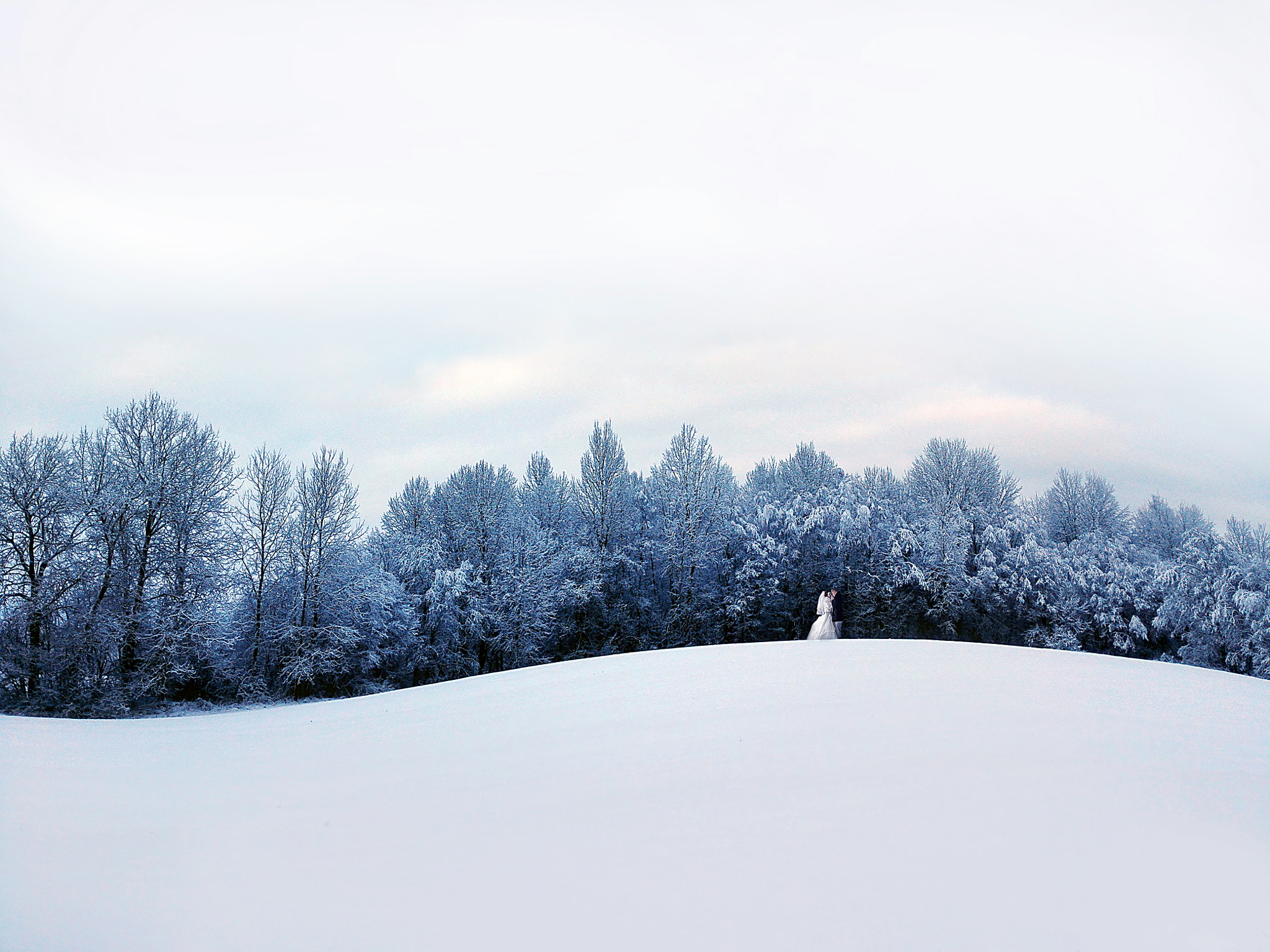 HUAWEI Mate 7 sample photo. Winter walk photography