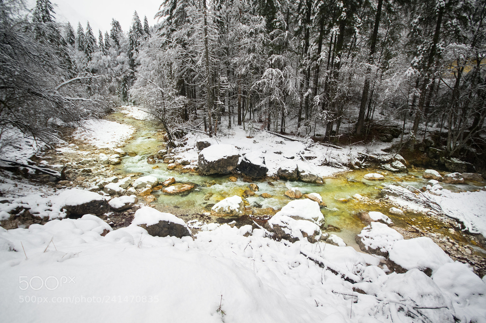Pentax K-3 sample photo. Krnica valley photography