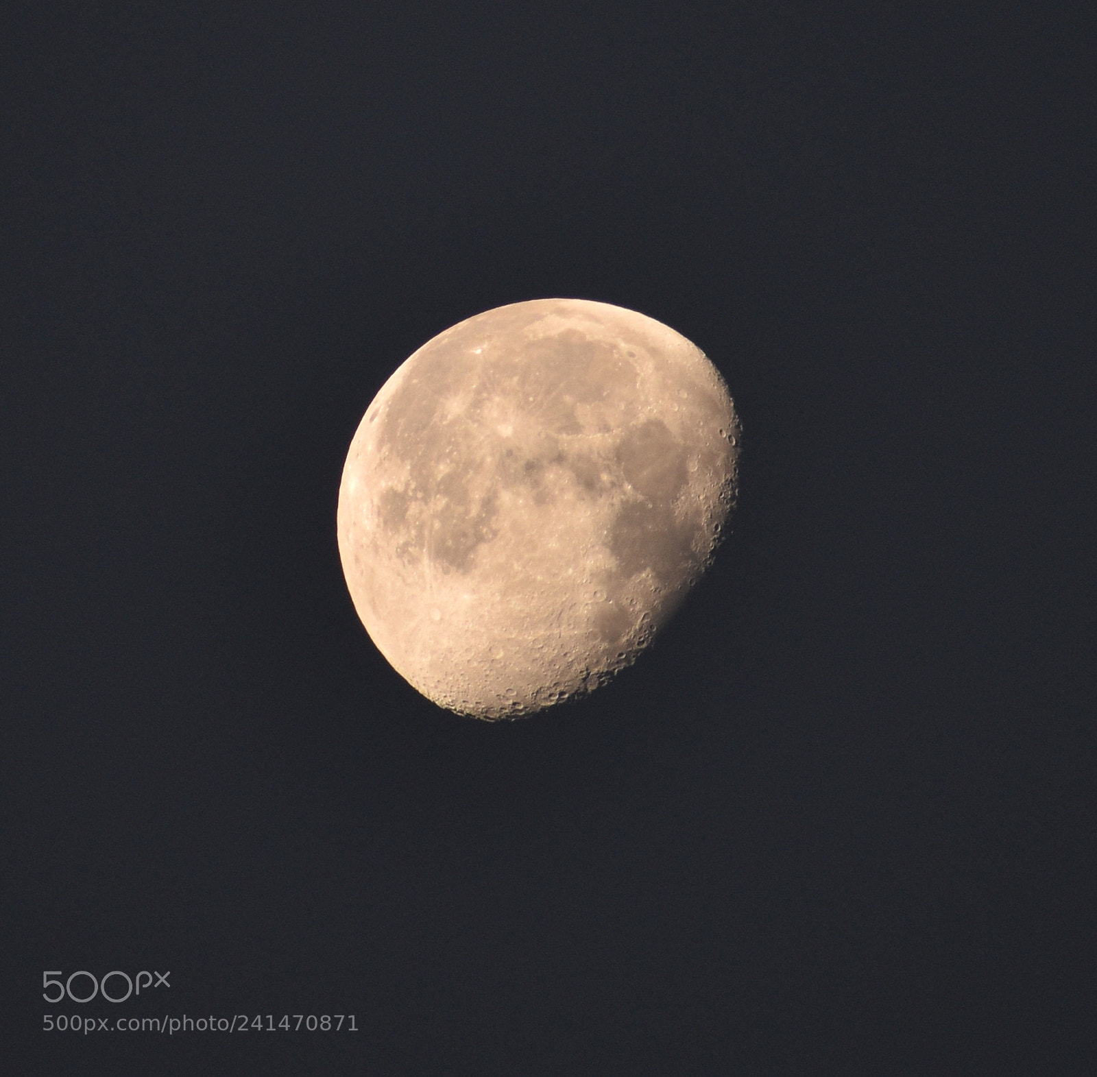 Nikon D5500 sample photo. Moonstruck photography