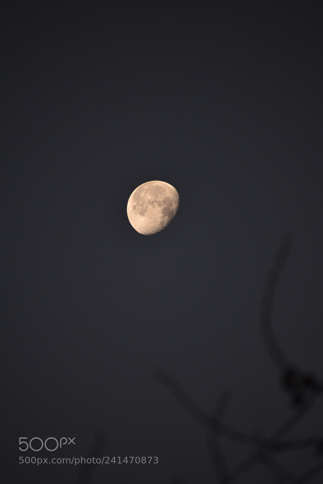 Nikon D5500 sample photo. Moonstruck photography