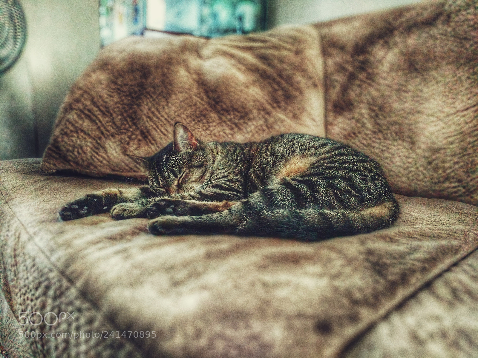 Google Pixel XL sample photo. Untitled photography