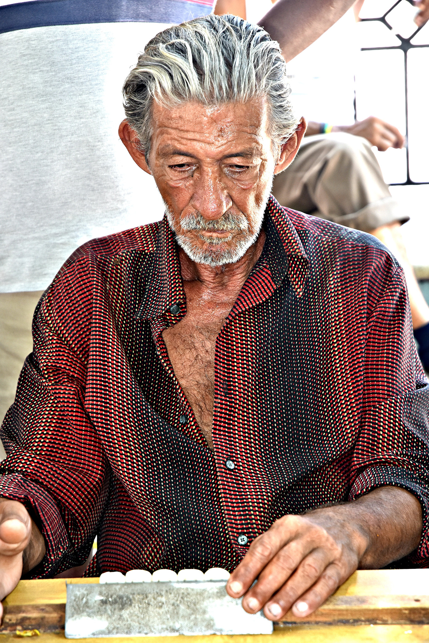 Nikon D7200 sample photo. Dominican domino's photography