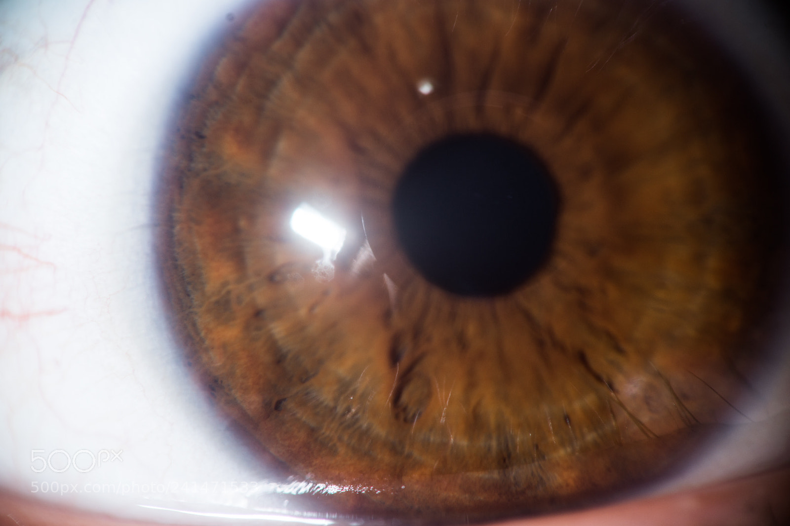 Nikon D7200 sample photo. Eye photography