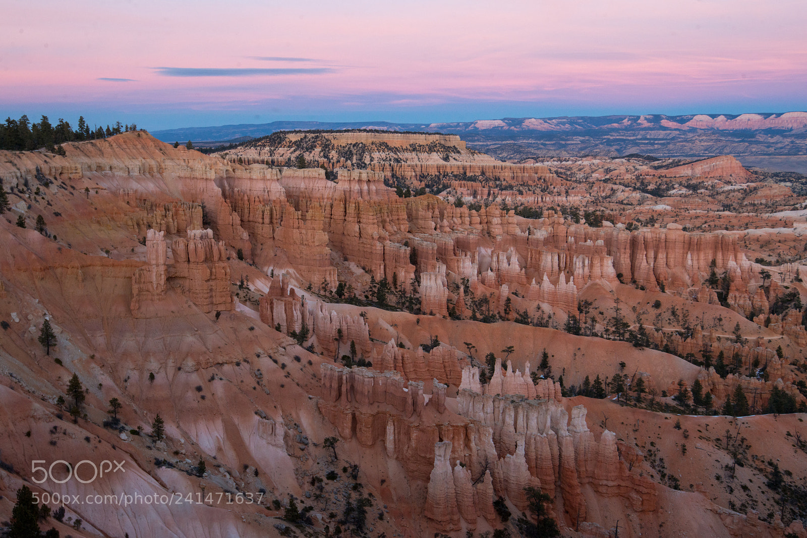 Nikon D800 sample photo. Bryce sunset photography