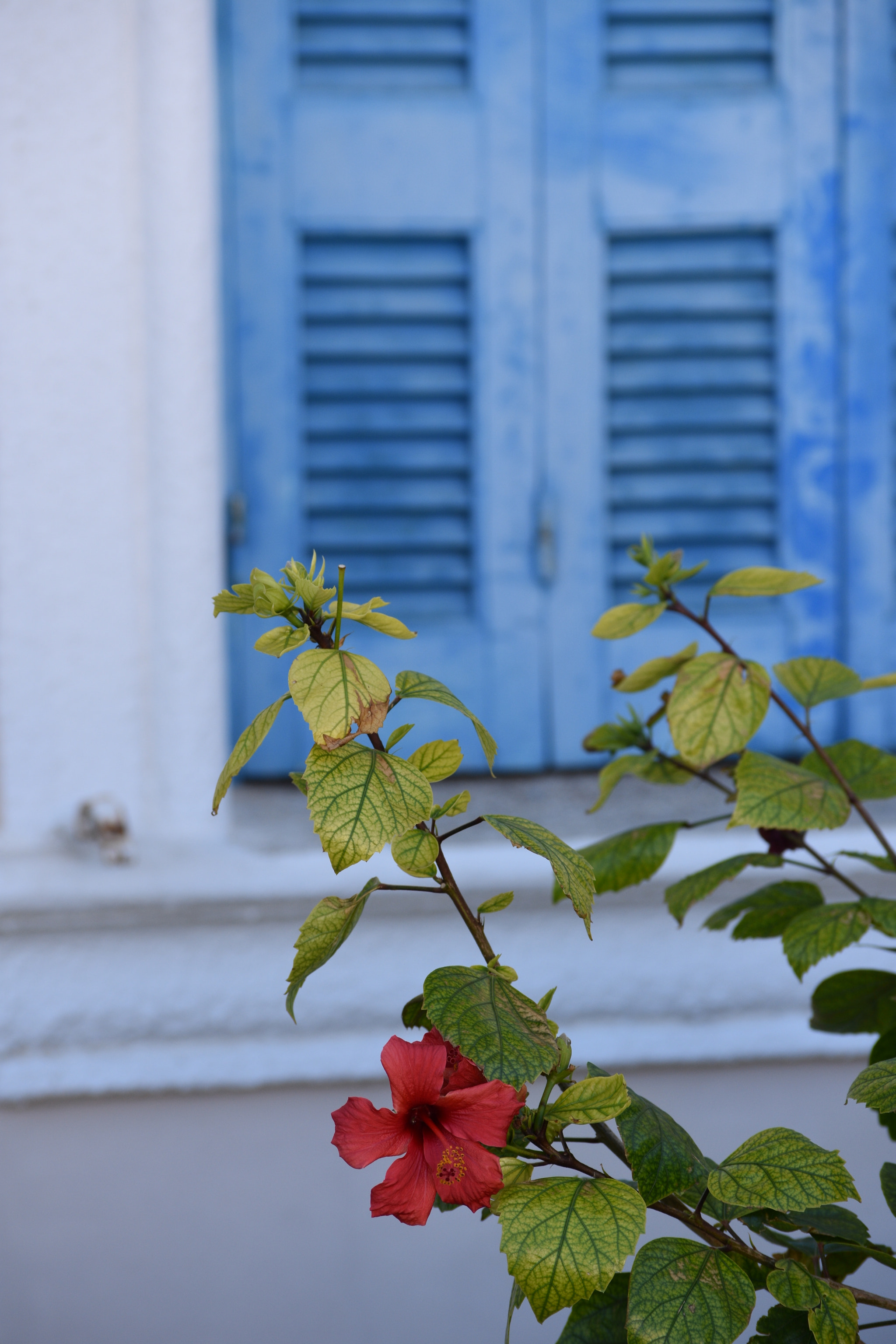 Nikon D3400 sample photo. Old garden-house photography